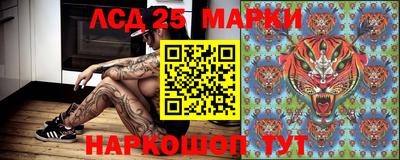 стафф Тверь