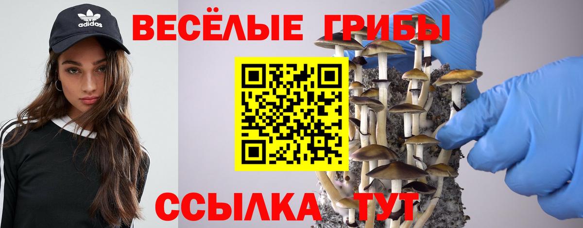 Галлюциногенные грибы прущие грибы  Вход с VPN  Орёл 